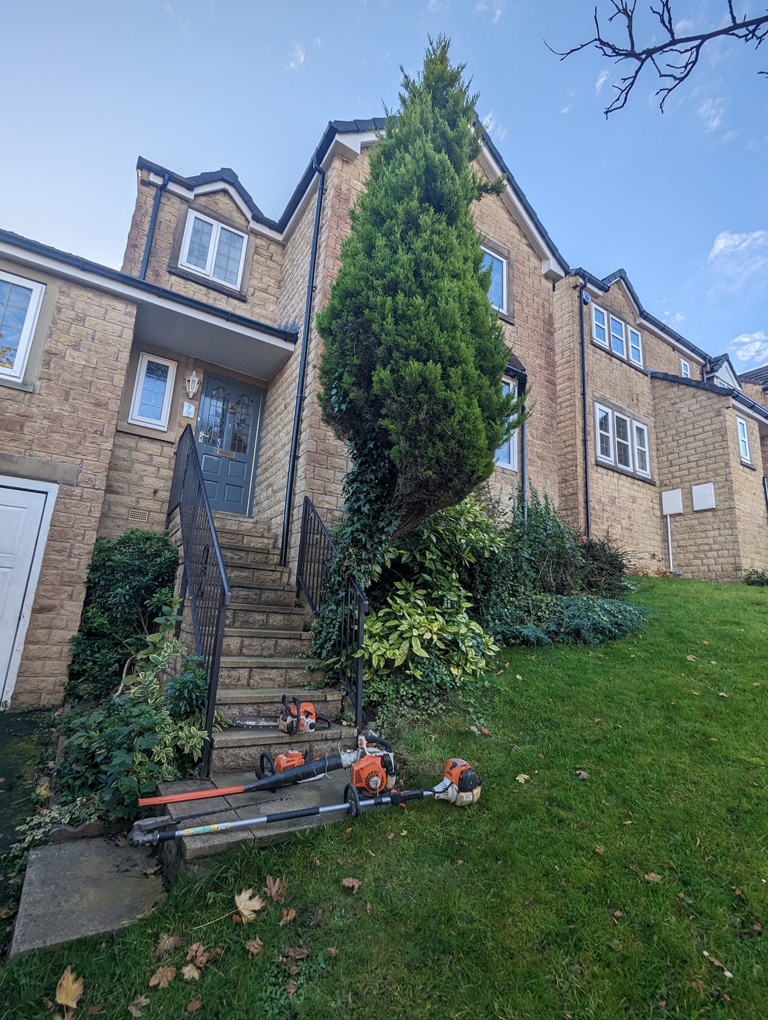 landscaping & gardening