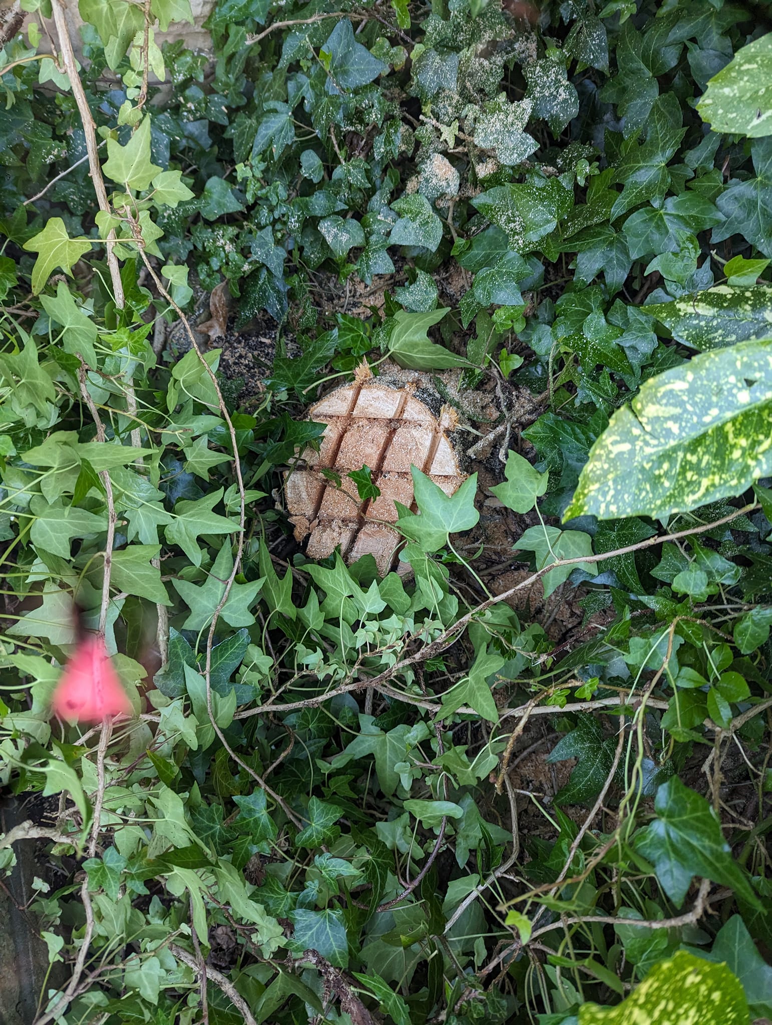 landscaping & gardening